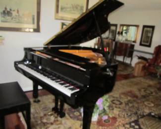 Beale - Young Chang America - mfg .  Large oriental carpet