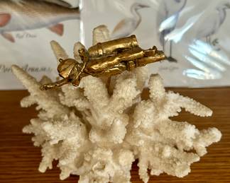 Coral with Scuba Diver 