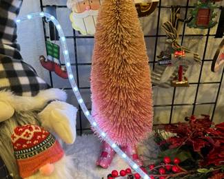 Tall Raz Pink Bristlebrush Tree with Pink Feet