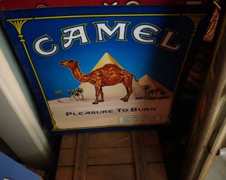 Camel Advertising