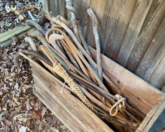 Walking Sticks & Canes