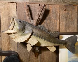 Taxidermy Bass