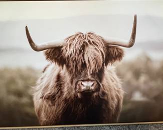 Art Highland Cow