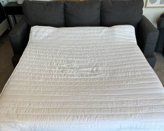 Grey Sleeper Sofa (we have 2)