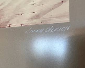 Framed Photography of Oregon Coast by Larry Ulrich