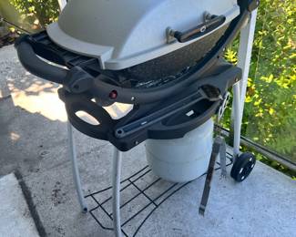 Portable Weber Propane Grill