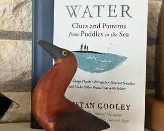 How To Read Water: Clues, Signs & Patterns from Puddles to the Sea - Book by Tristan Gooley
