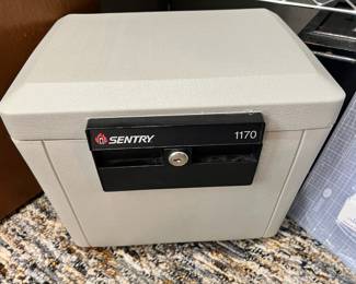 Sentry Fire Safe