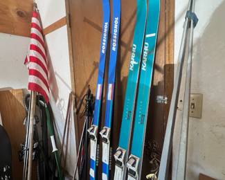 Assortment of Snow Skis