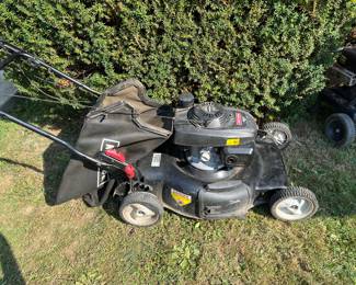 Working lawn mower