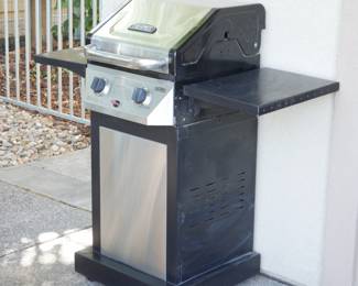 Thermos Outdoor Gas Grill