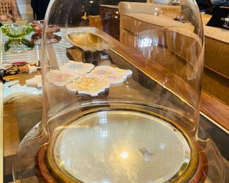 Large Vintage Cloche with Wooden& Brass Mirrored Base 