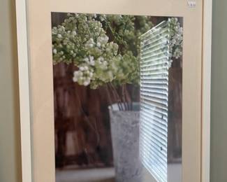 Ikea Plant Framed Prints