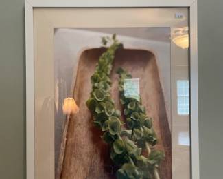 Ikea Plant Framed Prints