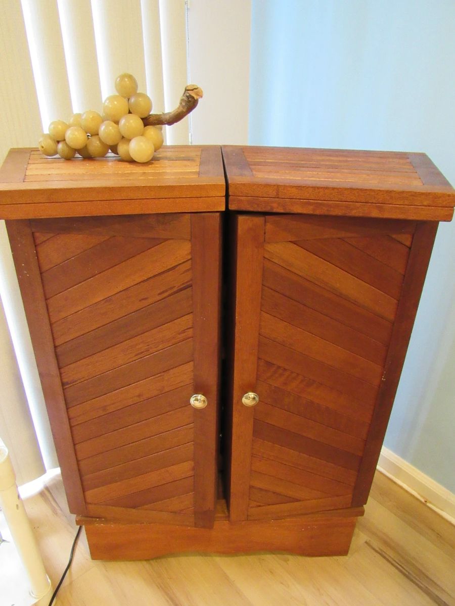 Fantastic Teak Bar, 2 doors, storage and flip out bar top