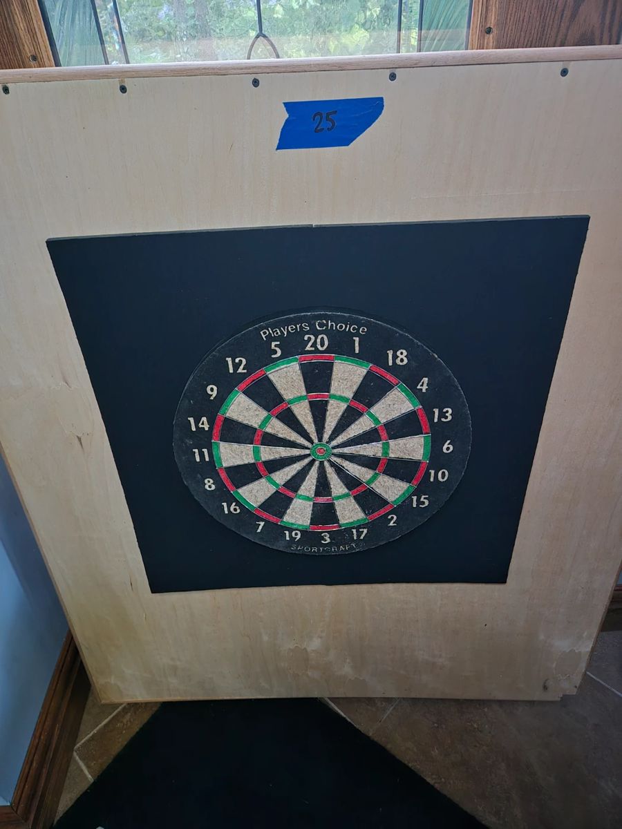 Dart board and back board 