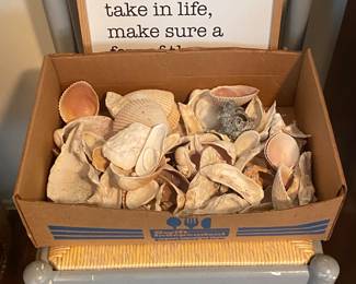 Seashells