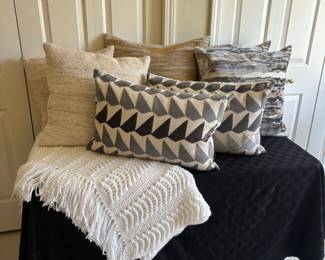 Assortment of Throw Pillows