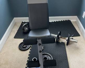 FREE WEIGHTS AND BENCH