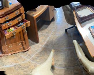 Costume jewelry and case