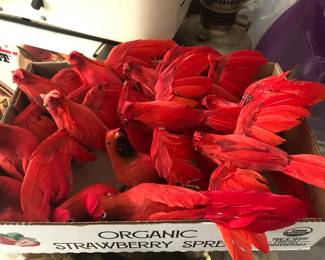 RED BIRD ORNAMENTS