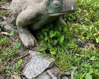 CONCRETE FROG