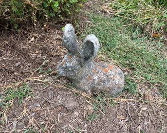 CONCRETE BUNNY