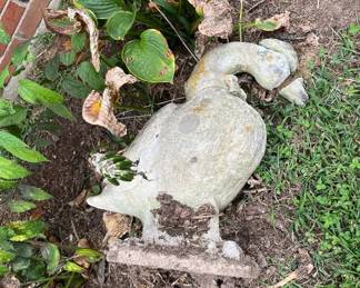 CONCRETE - GOOSE "AS IS"