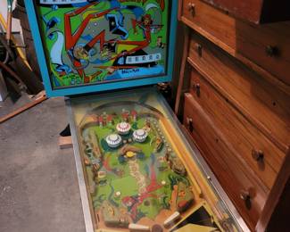 Sea Ray pinball machine