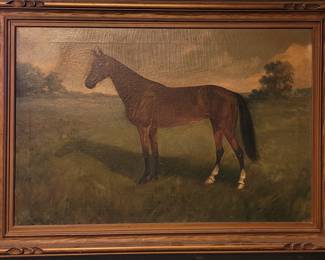 nice horse portrait - 