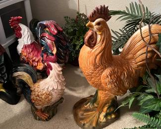 More than a few chickens/roosters to choose from