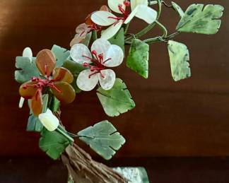 Asian Jade Bonsai Tree