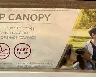 10 x 10 Instant Up Canopy