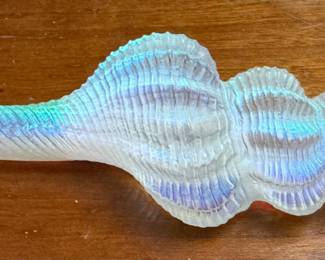 Iridescent Shell