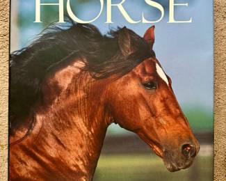 The Magnificent Horse Coffee Table Book