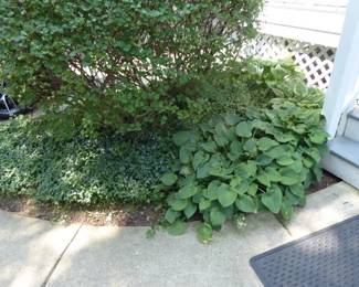 For prices & more info,&nbsp;copy & paste link below:&nbsp;

https://beforeudemo.com/sales-event/naperville-brick-cape-cod-style-home-demolition-sale/