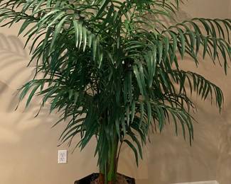 Approximately 6’ Artificial Palm Tree w/ Bamboo Planter Pot 