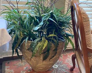 High-End Plant Decor 