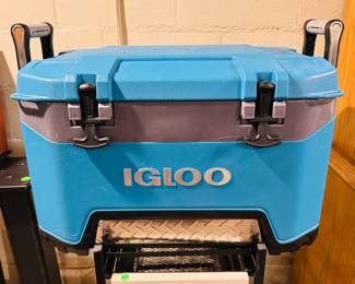 Igloo 25qt BMX cooler