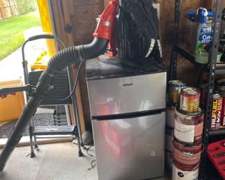 Echo backpack blower