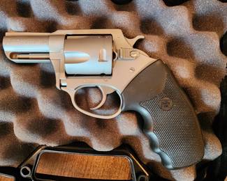Smith & Wesson .40 cal PITBULL revolver