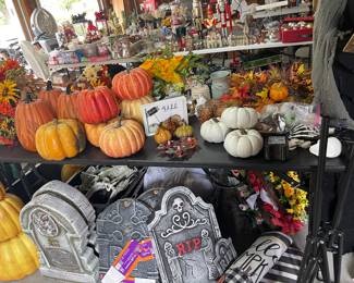 Pumpkins for Halloween/Thanksgiving