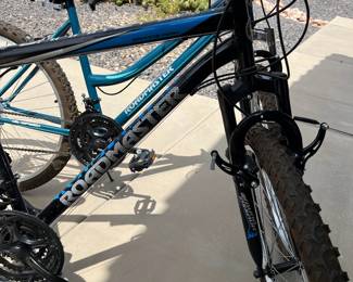 Roadmaster Bike HIS 
Roadmaster Bike HERS 