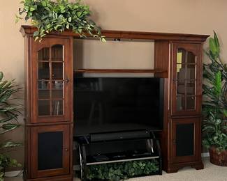 Entertainment Unit, Glass Media Center, Faux Greenery, tV