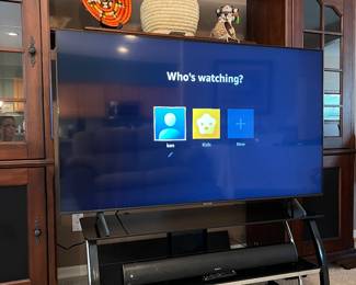 Entertainment Unit, Samsung 58" TV,  Majority Wireless Audio Soundbar, Sony DVD, Glass  Media Center, Faux Greenery