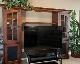 Entertainment Unit, Samsung 58" TV,  Majority Wireless Audio Soundbar, Sony DVD, Glass  Media Center, Faux Greenery