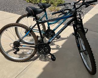 Roadmaster Bike HIS 
Roadmaster Bike HERS 