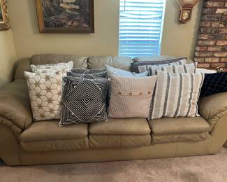 • Leather couch • Throw Pillow’s