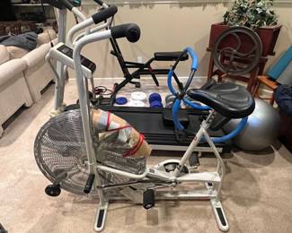 fan exercise bike