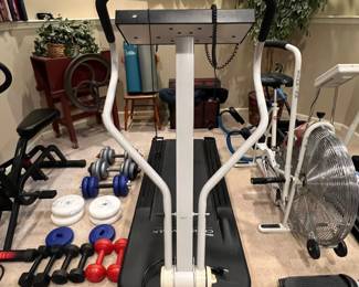 treadmill dumbells